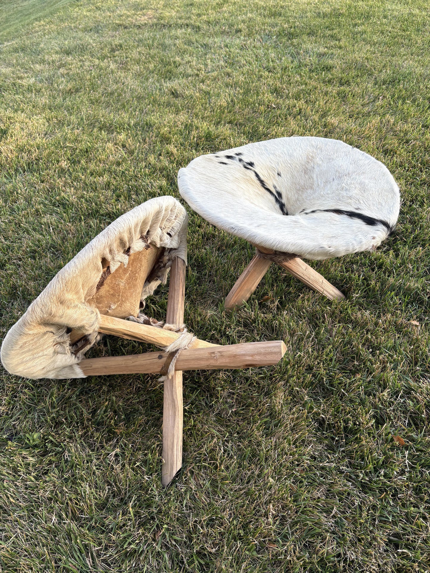 Goat Stool
