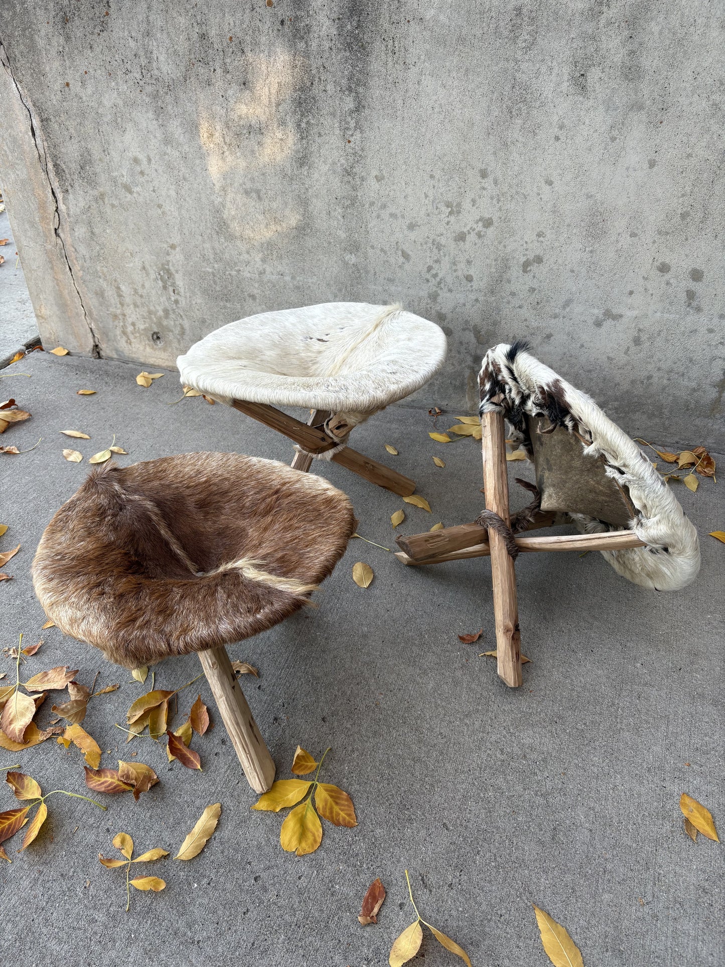 Goat Stool
